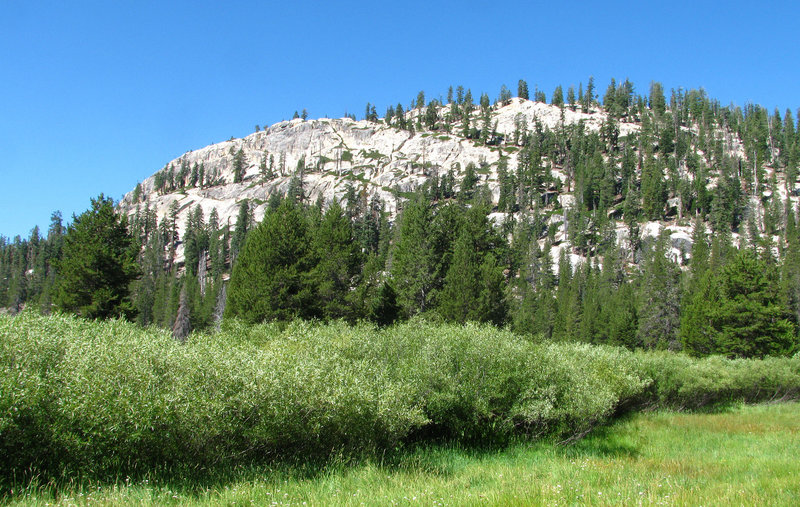 Devils's Postpile National Monument (0498)