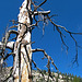 Devils's Postpile National Monument (0501)