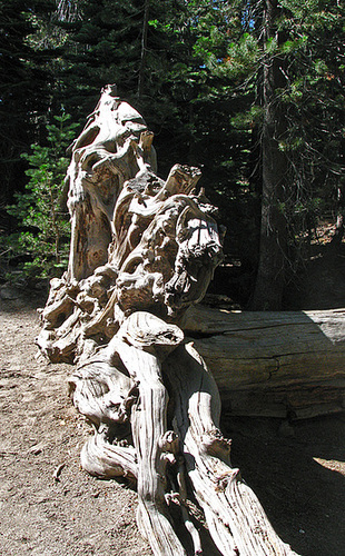 Devils's Postpile National Monument (0514)