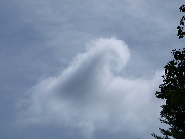 cloud curl