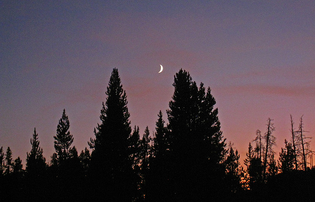 Crescent Moon Over Yellowstone (4247)