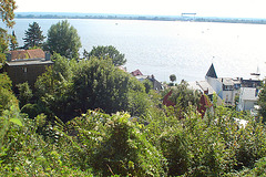 entlang der Elbe096