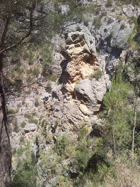 Montes en Tuéjar (Valencia).