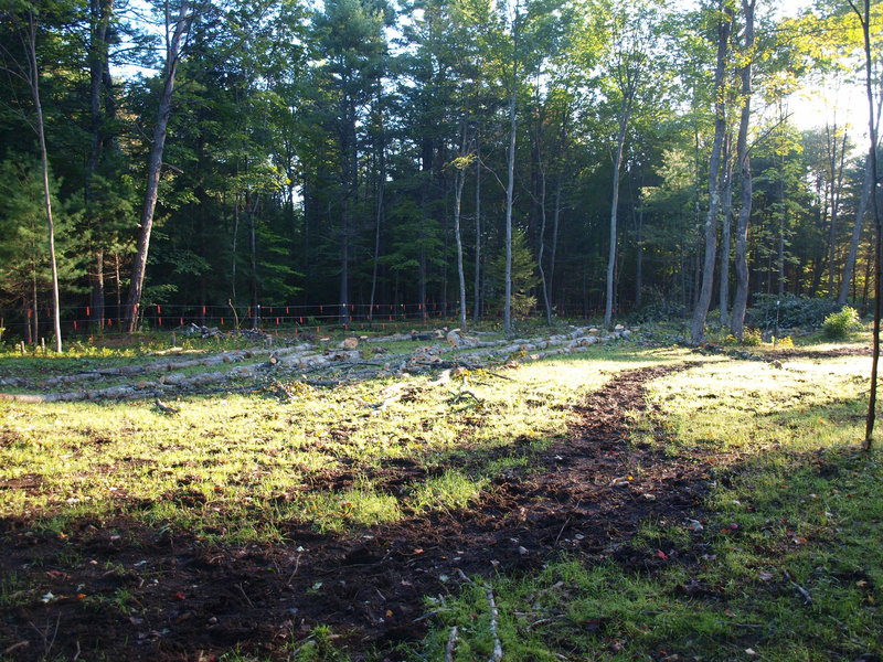 Reclaiming more pasture...