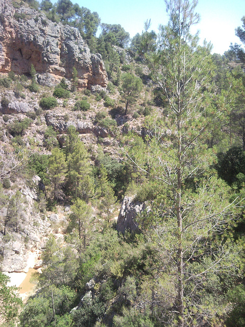 Montes en Tuéjar (Valencia).