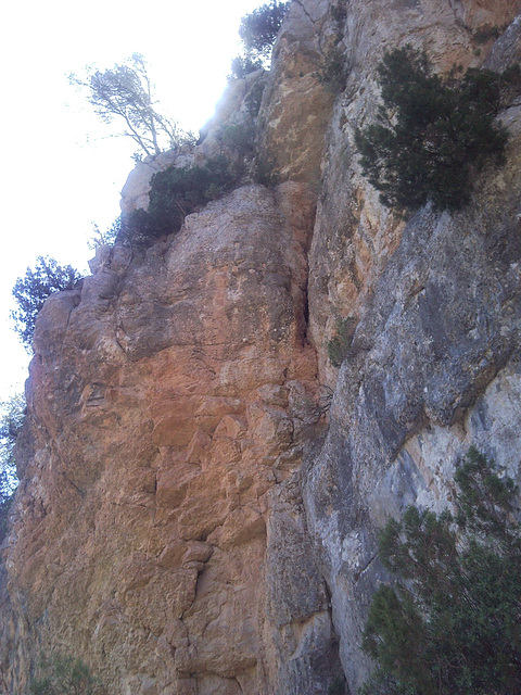 Montes en Tuéjar (Valencia).