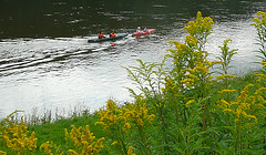 Fahrt auf der Elbe mit 2 Booten