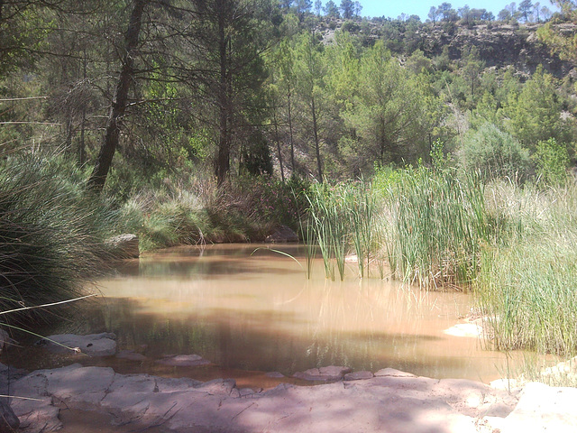 Barranco en Tuéjar (Valencia).