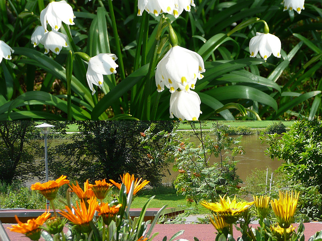 Frühling - Sommer