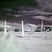 Infrared View From My Tent (0015)