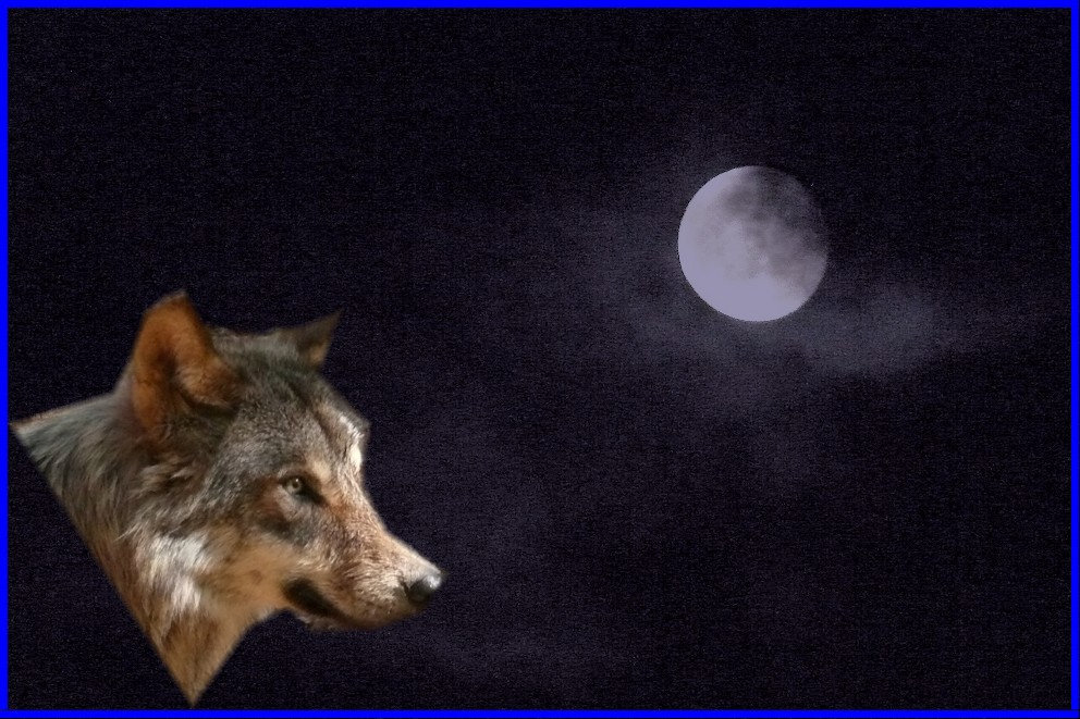 lune à tic