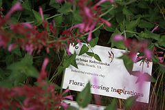 59.Flora.GrowingInspirations1.USBG.WDC.31August2009
