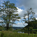 Elbe mit Blick auf die Bastei - Oktober 2009