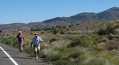 Near Empire Nevada (0843)