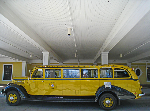 Yellow Bus at Lake Yellowstone Hotel (4121)