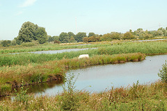 Radtour Rothenburgsort-Bergedorf033