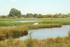 Radtour Rothenburgsort-Bergedorf034