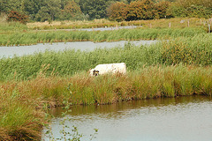 Radtour Rothenburgsort-Bergedorf036