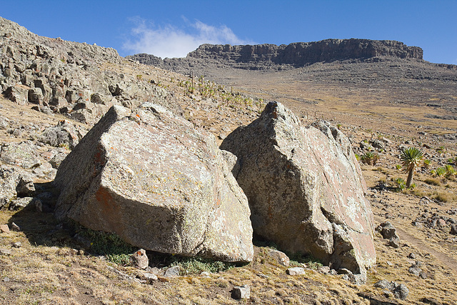 Approaching Ras Dashen