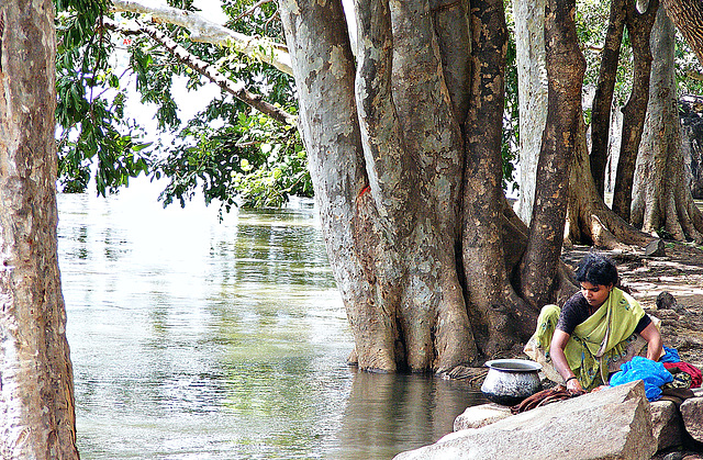 Washing by the Cauvery