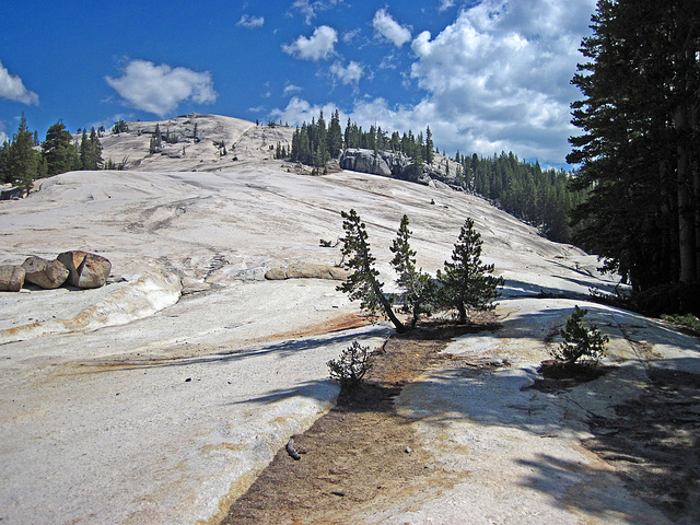 On The Trail To Glen Aulin (0101)