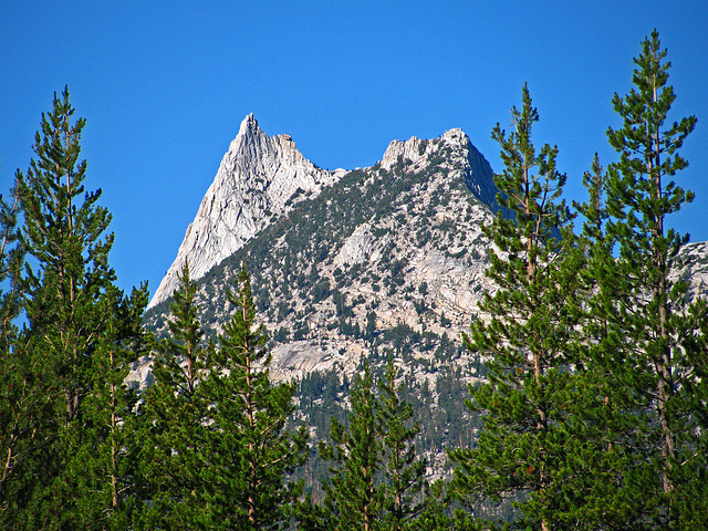 On The Trail To Glen Aulin (0594)