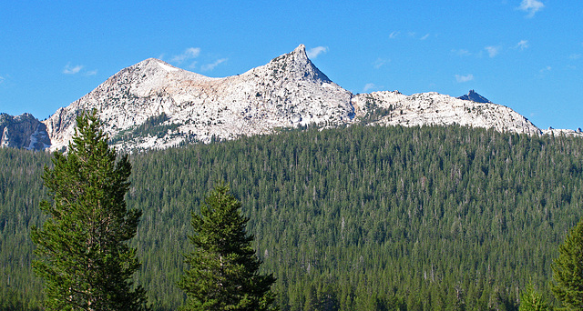 On The Trail To Glen Aulin (0596)