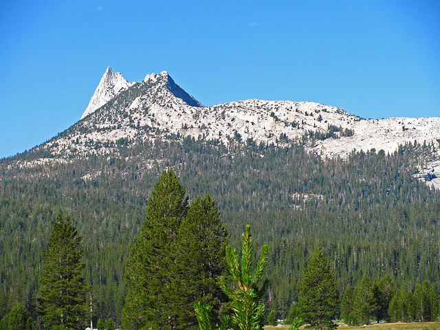 On The Trail To Glen Aulin (0597)