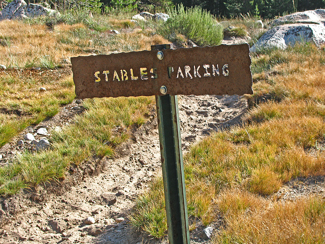 On The Trail To Glen Aulin (0598)