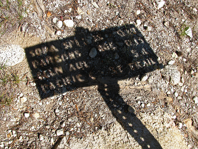 On The Trail To Glen Aulin (0600)