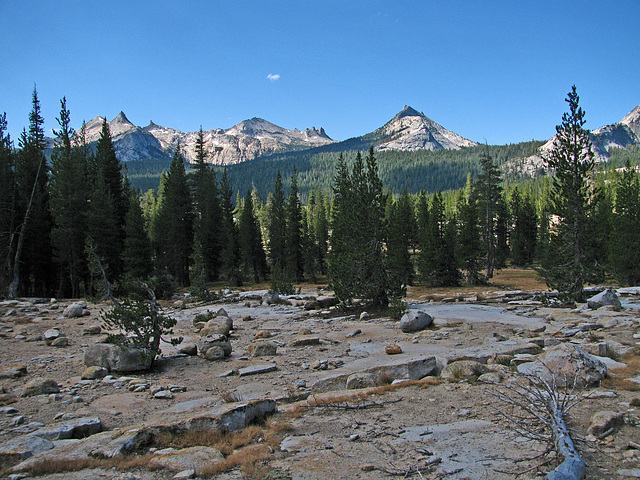 On The Trail To Glen Aulin (0610)