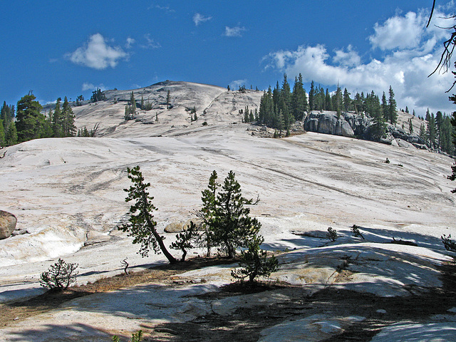 On The Trail To Glen Aulin (0615)