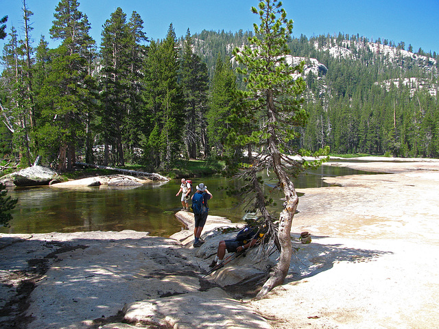 On The Trail To Glen Aulin (0616)