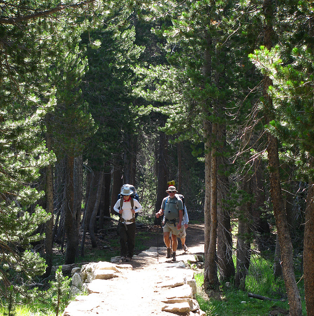 On The Trail To Glen Aulin (0617)