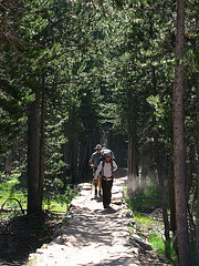 On The Trail To Glen Aulin (0618)