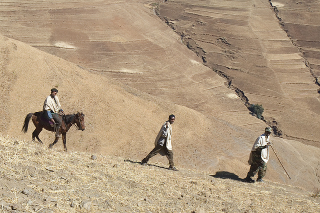 Field Workers