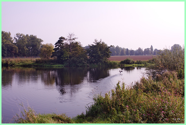 die Leine bei Schulenburg