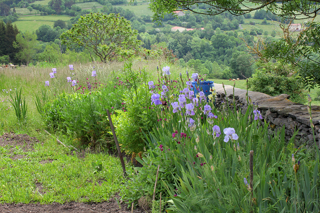 Jardin de campagne