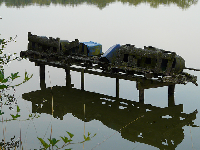 mangeoir pour canards sur l'étang