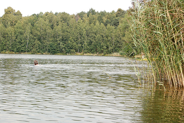 naĝanto en lago