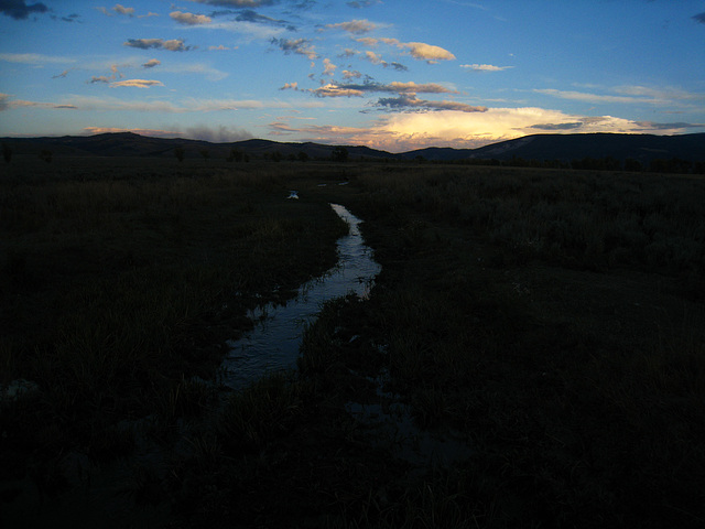 Ditch At Mormon Row (3846)