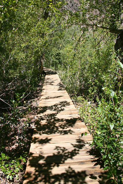 Convict Lake boardwalk