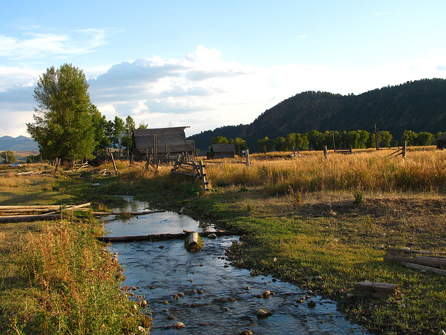 Mormon Row (1590)