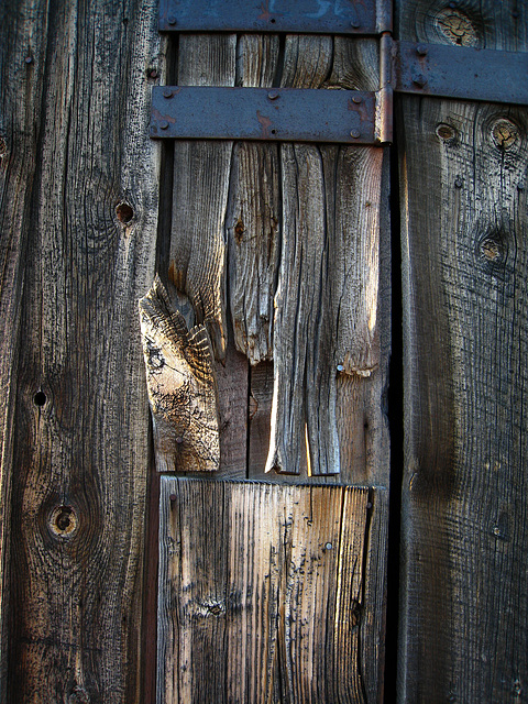 Mormon Row (3814)