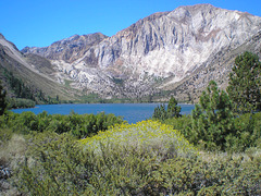 P8060126