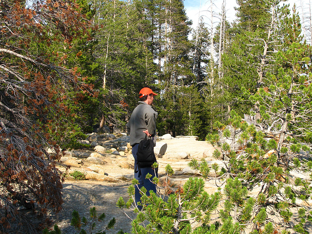 Tuolumne Meadows Lodge (0561)