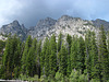 Jenny Lake Shore (0571)