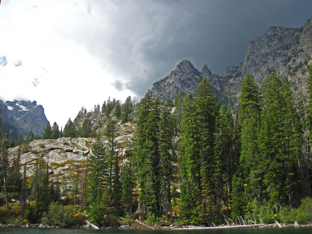 Jenny Lake Shore (0572)