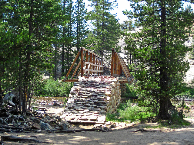 Bridge at Glen Aulin (0120)