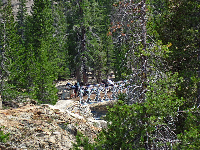 Bridge at Glen Aulin (0122)